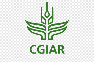 png-clipart-cgiar-international-institute-of-tropical-agriculture-organization-global-forum-on-agricultural-research-and-innovation-green-imported-food-leaf-text